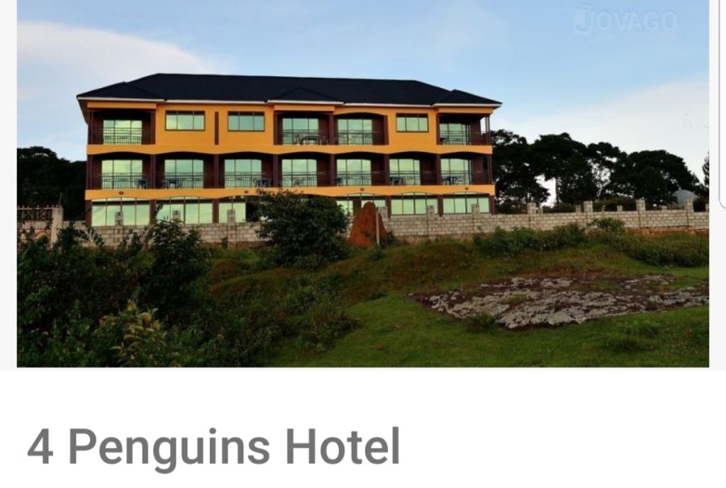 4 Penguins Hotel