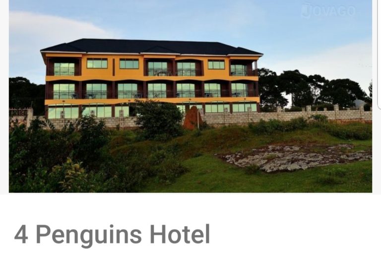 4 Penguins Hotel
