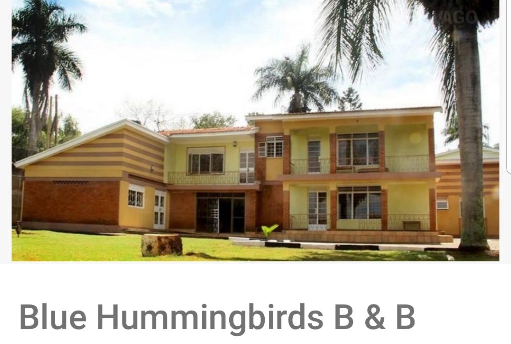 Blue Hummingbirds B&B