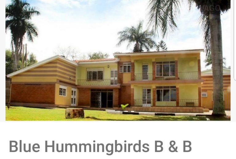 Blue Hummingbirds B&B