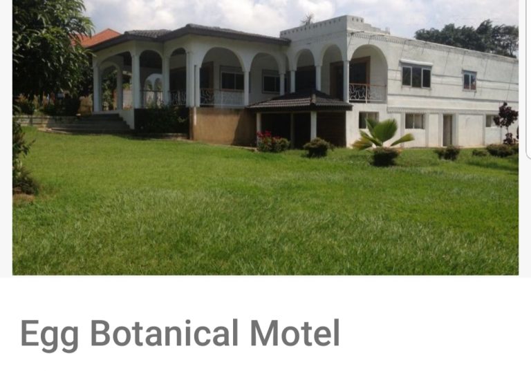 Egg Botanical Motel