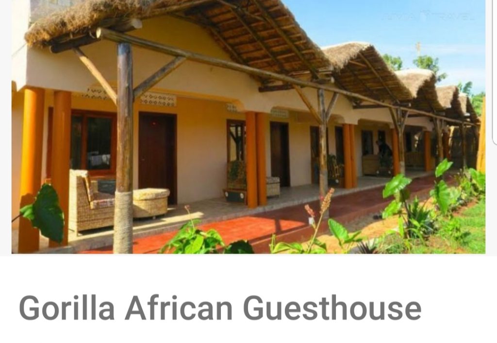 Gorilla African Guesthouse