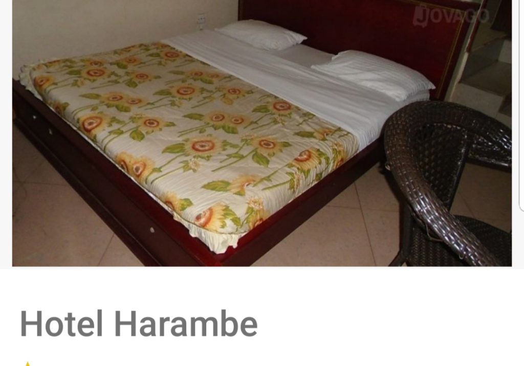 Hotel Harambe