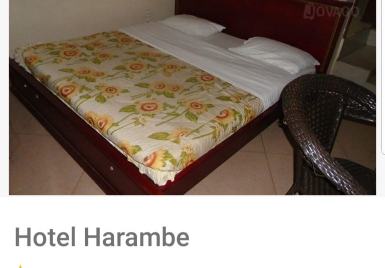 Hotel Harambe