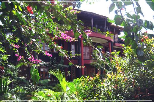 Da Wilderness -Holiday Home – Kampala