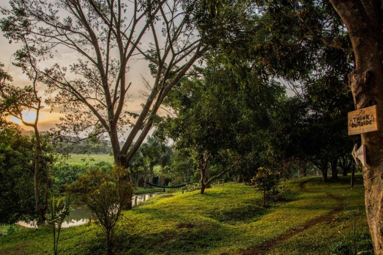 ViaVia Entebbe | Hotel, Bar & Restaurant