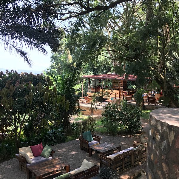 Kampala Forest Resort