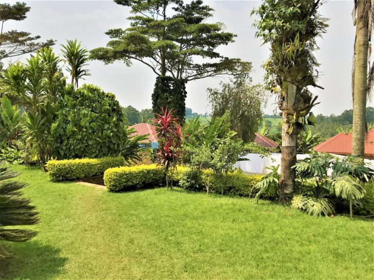Kaswa Lodge – Double Room with Mountain View