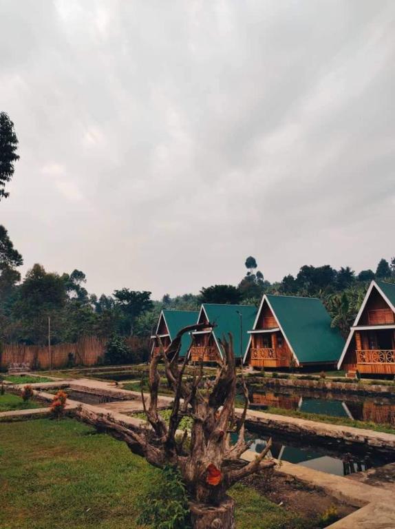 Nsaho Resort, Fortportal