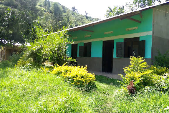 Rwenzori Turaco View Campsite