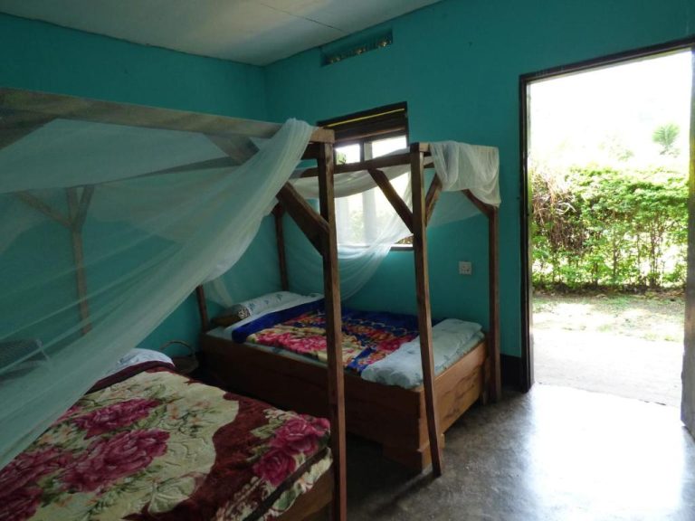 Rwenzori Turaco View Campsite
