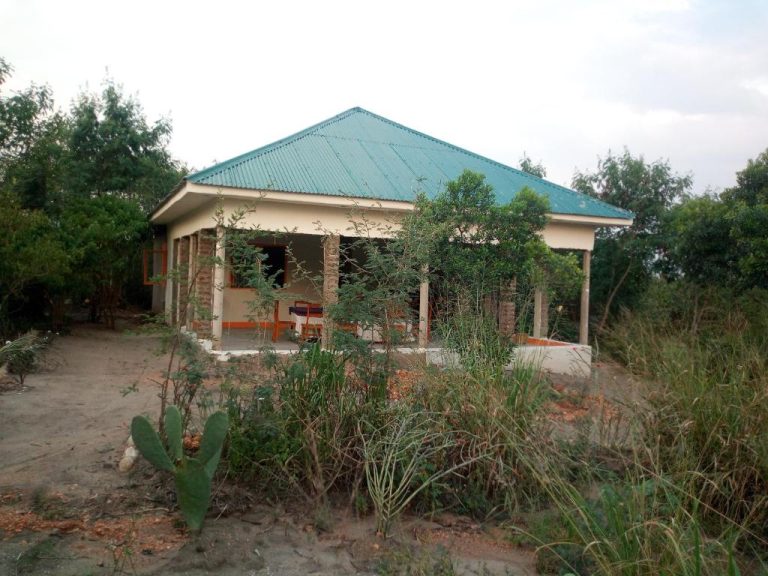 The Elephant Home