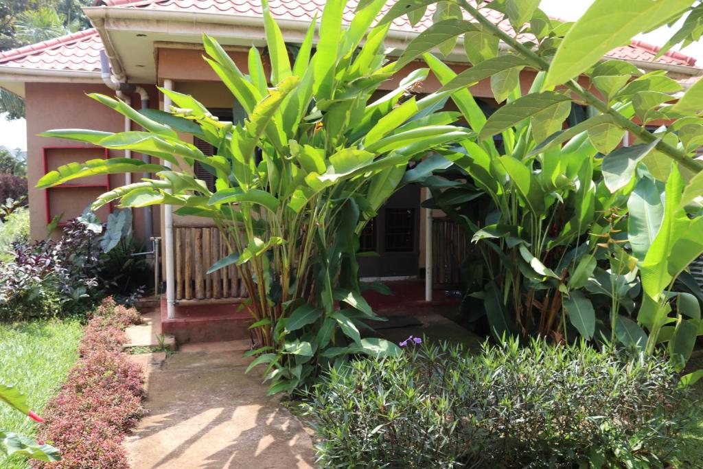 Henotes B&B Kamuli