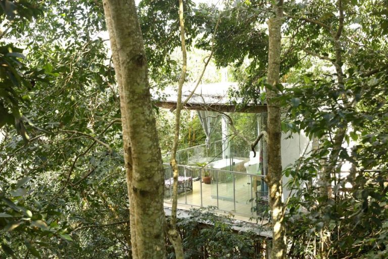 Nkofu Forest Cottage