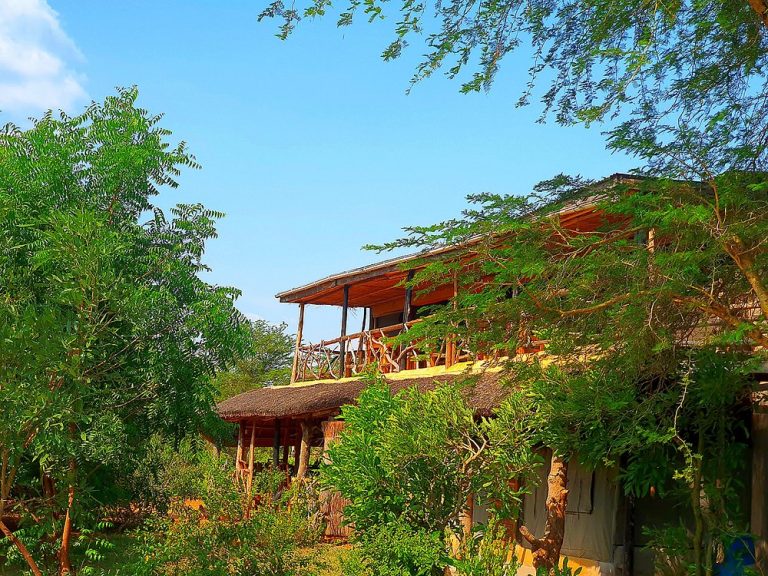 Hornbill Bush Lodge