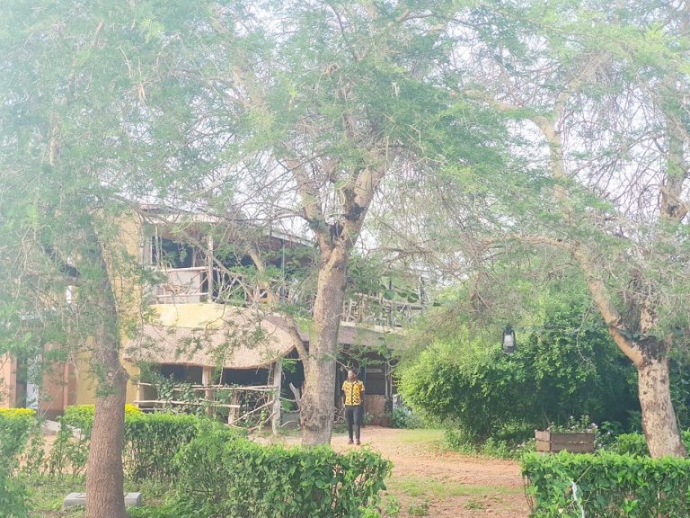 Hornbill Bush Lodge