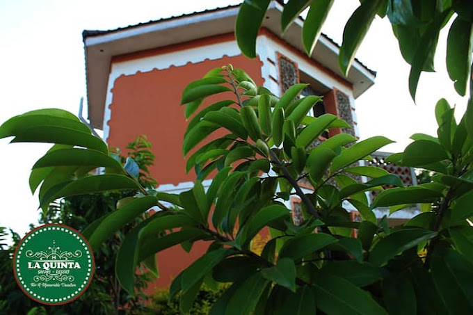 LA Quinta Resort Hotel – Pallisa