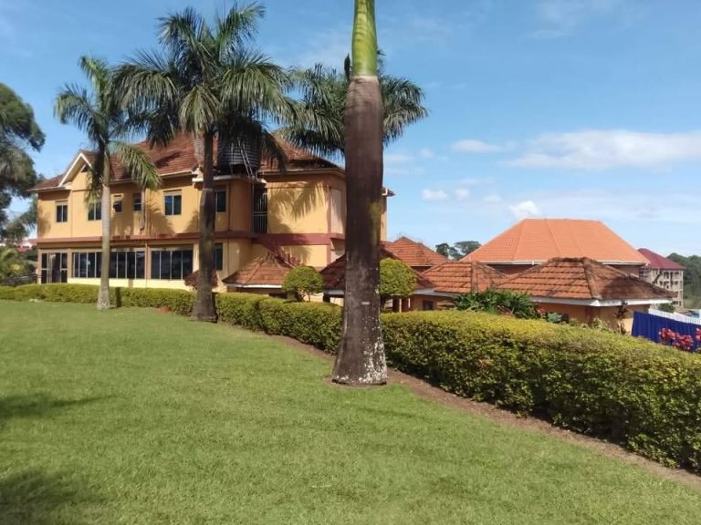 New Palm Hotel & Gardens Rukungiri