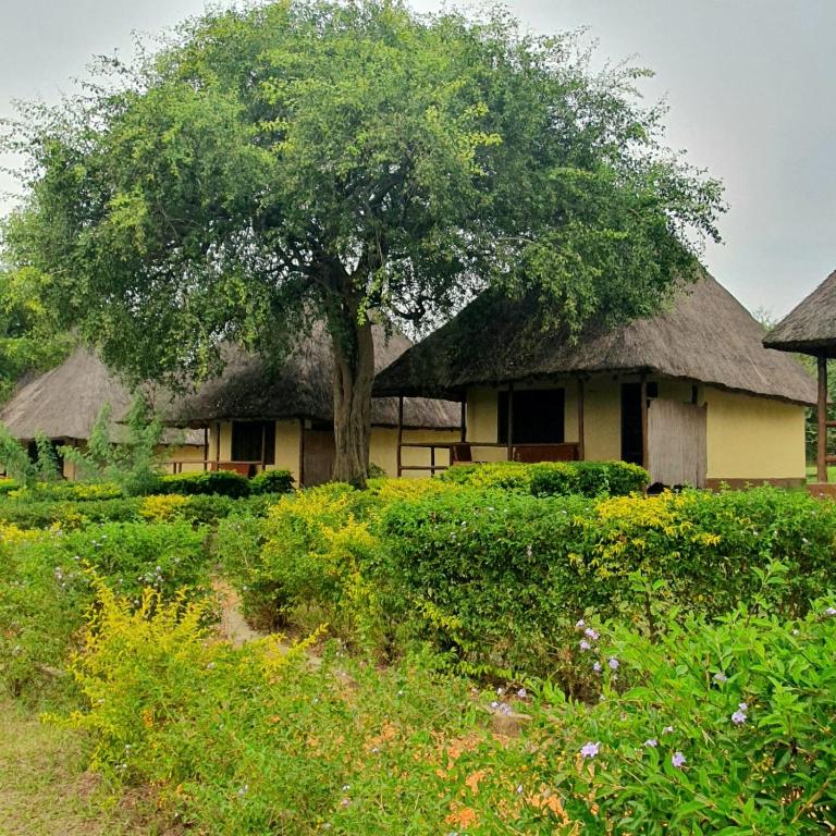 Bar Lyec Safari Lodge, Pakwach
