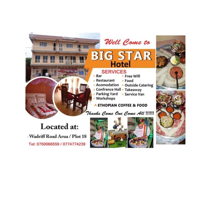 Big Star Hotel