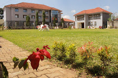 4 PALS HOTEL