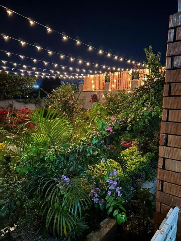 City Oasis Homes