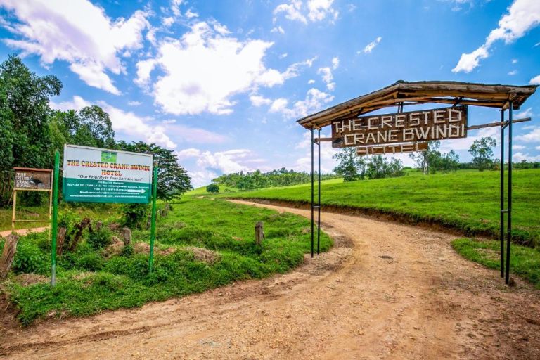 Crested Crane Bwindi Hotel