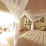 Elephant Plains Lodge
