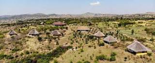 Elephant Plains Lodge