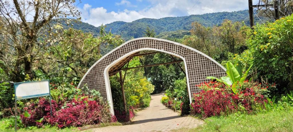 Gorilla Safari Lodge