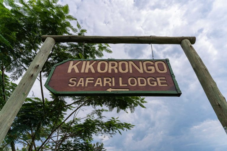 Kikorongo Safari Lodge