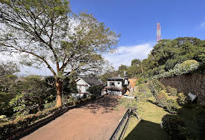 Pangolin Nest Boutique Hotel