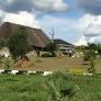 Parkside safari Lodge – Murchison falls national park