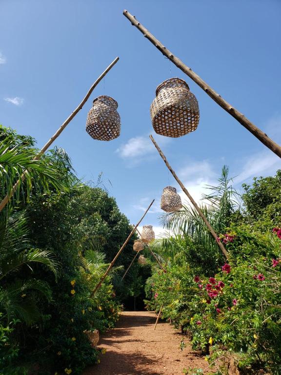 Mabamba Lodge Wakiso