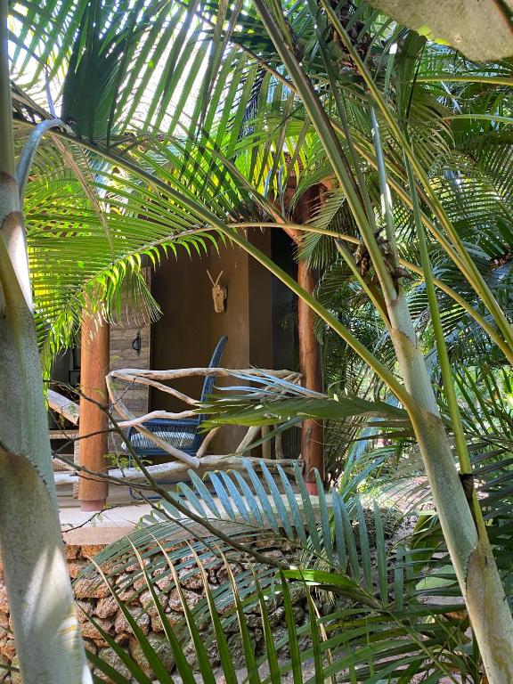 Magnolia guesthouse Mutundwe Kirinyabigo Road Kampala