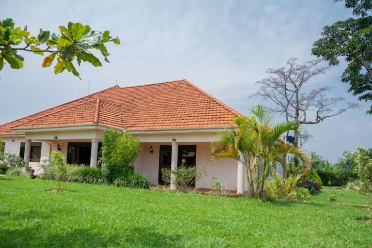 Martha’s Farmhouse