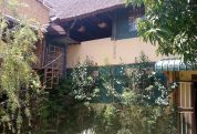 African Roots Guesthouse 8