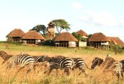 Apoka Safari Lodge 1