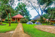 Banana Village - Twin Room, Garden View 4