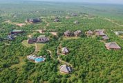 Buffalo Safari Lodge 2