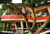 Forest Cottages 5