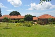 GREEN MEADOWS TORORO 1