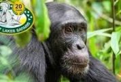 Great lakes safaris 2