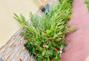 Harmony Hotel Bugiri 2