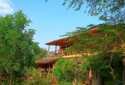 Hornbill Bush Lodge 3