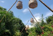 Mabamba lodge 1
