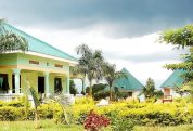 Max Hotel, Kigumba 1