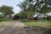 Tangi safari lodge 1