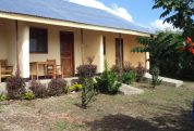 The Elephant Home 1