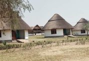 WILD PALACE SAFARI LODGE 1